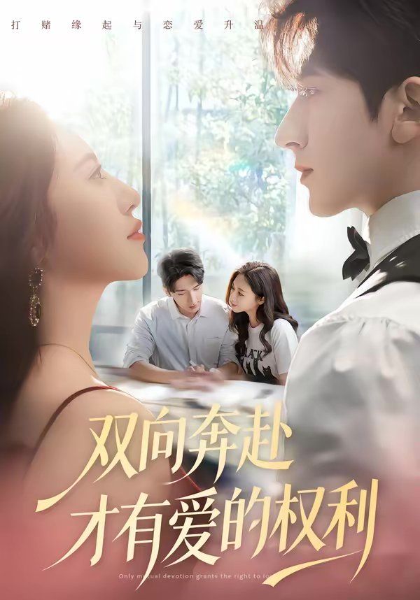 双向奔赴才有爱的权利封面图