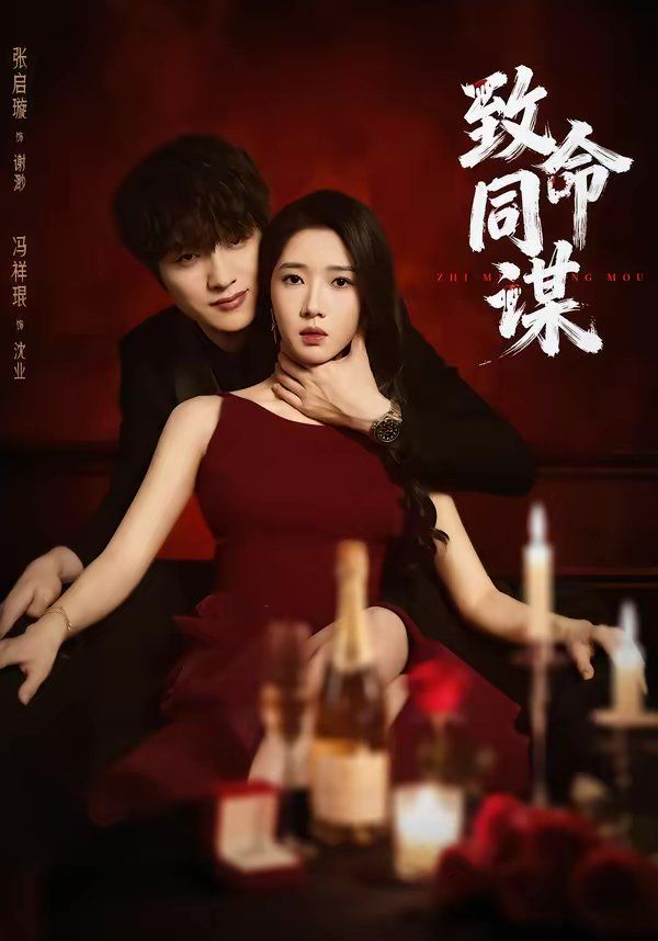 致命同谋海报